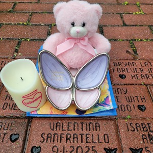 Team Valentina